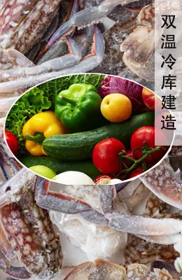 双温冷库建造