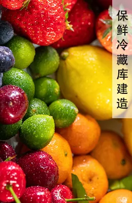 保鲜冷藏冷库建造